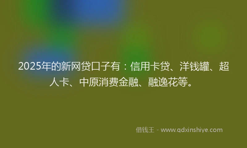 2025年的新网贷口子有：信用卡贷、洋钱罐、超人卡、中原消费金融、融逸花等。