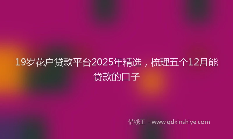 19岁花户贷款平台2025年精选，梳理五个12月能贷款的口子