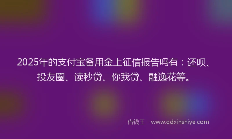 2025年的支付宝备用金上征信报告吗有：还呗、投友圈、读秒贷、你我贷、融逸花等。