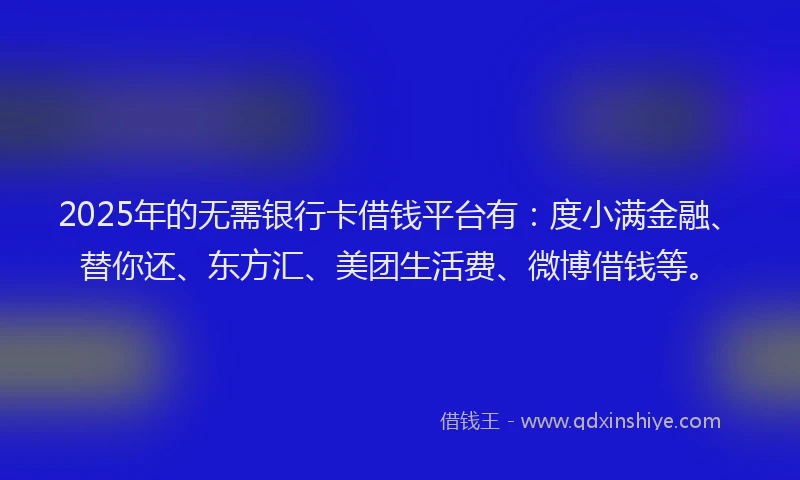 2025年的无需银行卡借钱平台有：度小满金融、替你还、东方汇、美团生活费、微博借钱等。