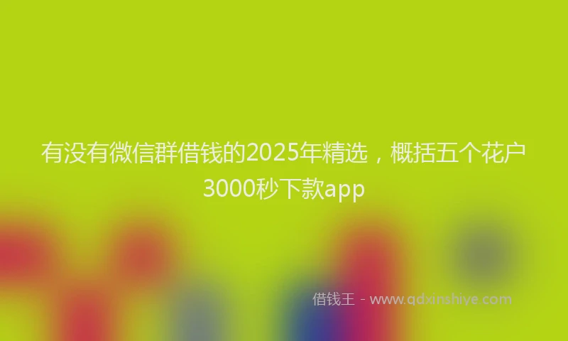 有没有微信群借钱的2025年精选，概括五个花户3000秒下款app