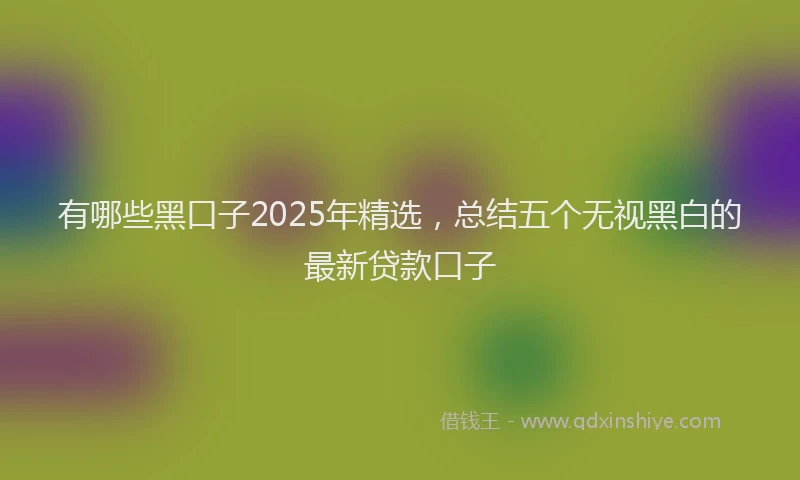 有哪些黑口子2025年精选，总结五个无视黑白的最新贷款口子