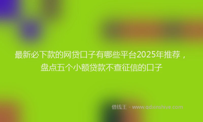 最新必下款的网贷口子有哪些平台2025年推荐，盘点五个小额贷款不查征信的口子