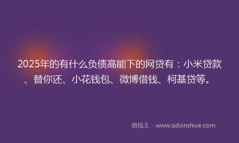 2025年的有什么负债高能下的网贷有：小米贷款、替你还、小花钱包、微博借钱、柯基贷等。
