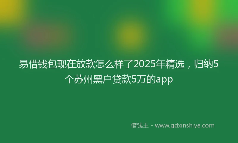 易借钱包现在放款怎么样了2025年精选，归纳5个苏州黑户贷款5万的app