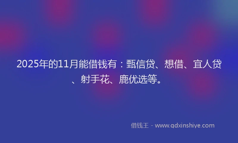 2025年的11月能借钱有：甄信贷、想借、宜人贷、射手花、鹿优选等。