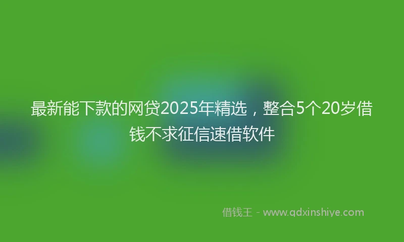最新能下款的网贷2025年精选，整合5个20岁借钱不求征信速借软件