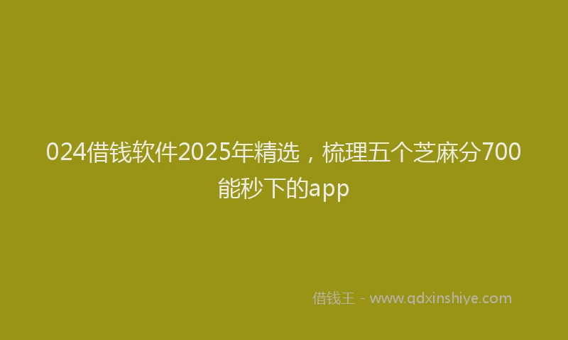 024借钱软件2025年精选，梳理五个芝麻分700能秒下的app