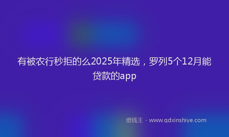 有被农行秒拒的么2025年精选，罗列5个12月能贷款的app