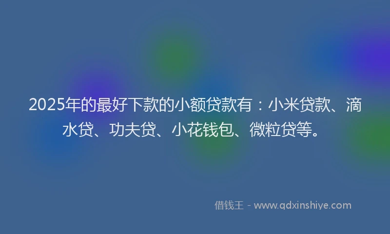 2025年的最好下款的小额贷款有：小米贷款、滴水贷、功夫贷、小花钱包、微粒贷等。