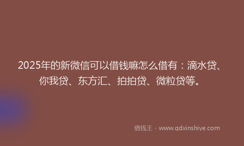 2025年的新微信可以借钱嘛怎么借有：滴水贷、你我贷、东方汇、拍拍贷、微粒贷等。