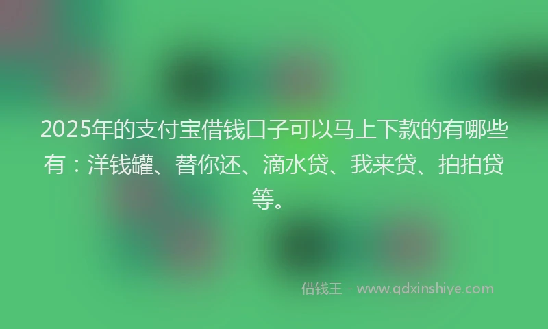 2025年的支付宝借钱口子可以马上下款的有哪些有：洋钱罐、替你还、滴水贷、我来贷、拍拍贷等。