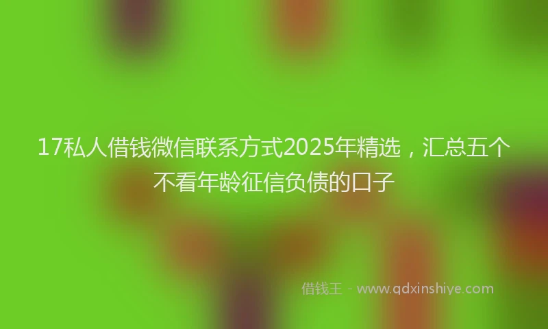17私人借钱微信联系方式2025年精选，汇总五个不看年龄征信负债的口子