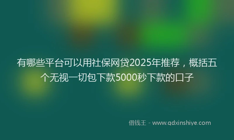有哪些平台可以用社保网贷2025年推荐，概括五个无视一切包下款5000秒下款的口子