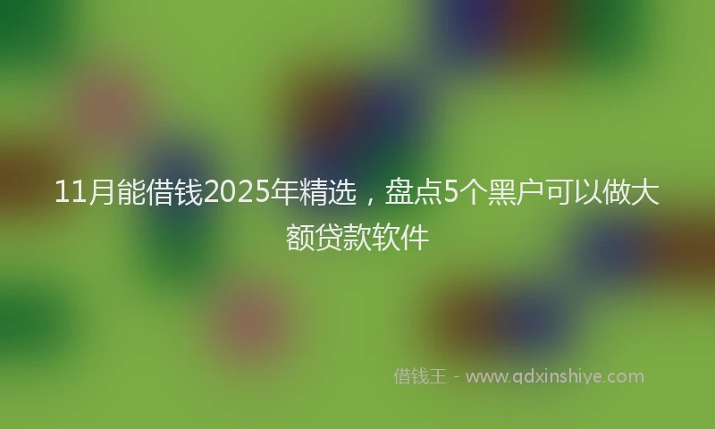 11月能借钱2025年精选，盘点5个黑户可以做大额贷款软件