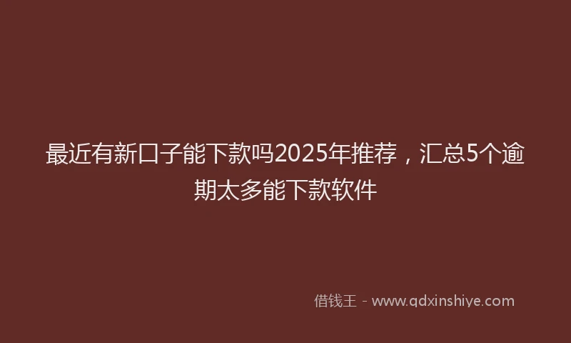 最近有新口子能下款吗2025年推荐，汇总5个逾期太多能下款软件