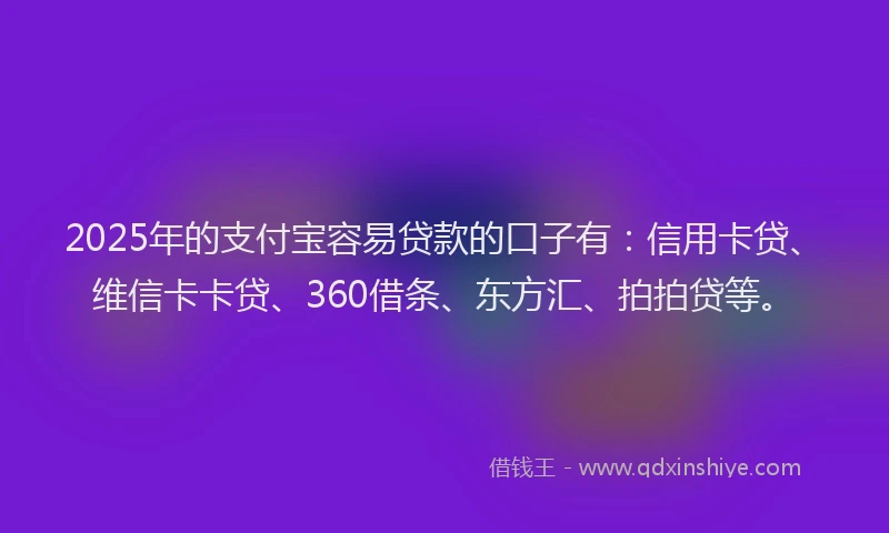 2025年的支付宝容易贷款的口子有：信用卡贷、维信卡卡贷、360借条、东方汇、拍拍贷等。