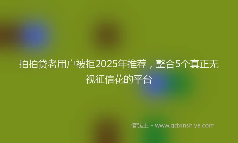 拍拍贷老用户被拒2025年推荐，整合5个真正无视征信花的平台