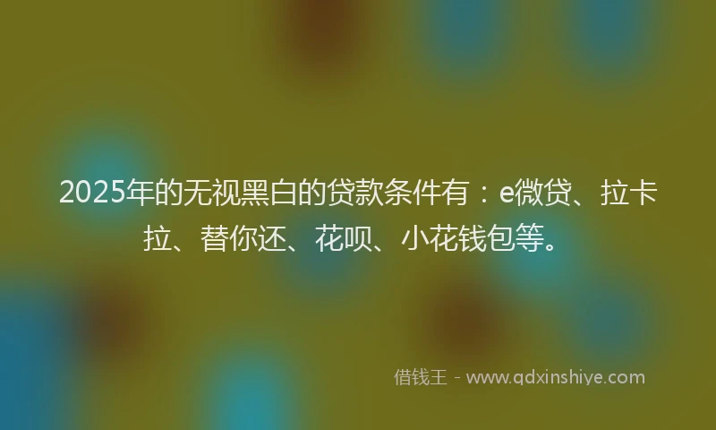 2025年的无视黑白的贷款条件有：e微贷、拉卡拉、替你还、花呗、小花钱包等。