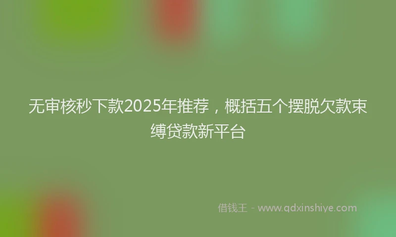 无审核秒下款2025年推荐，概括五个摆脱欠款束缚贷款新平台