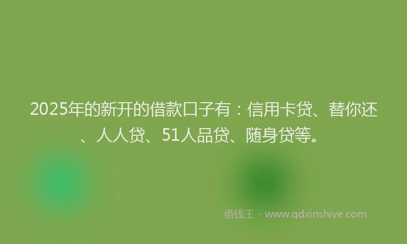 2025年的新开的借款口子有：信用卡贷、替你还、人人贷、51人品贷、随身贷等。