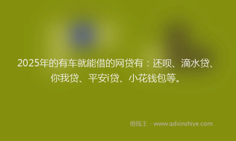 2025年的有车就能借的网贷有：还呗、滴水贷、你我贷、平安i贷、小花钱包等。