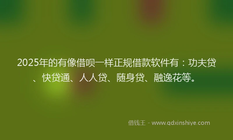2025年的有像借呗一样正规借款软件有：功夫贷、快贷通、人人贷、随身贷、融逸花等。