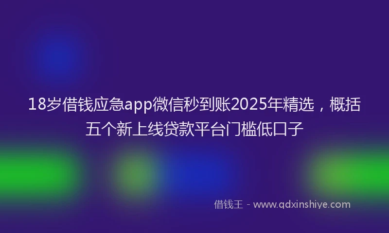 18岁借钱应急app微信秒到账2025年精选，概括五个新上线贷款平台门槛低口子