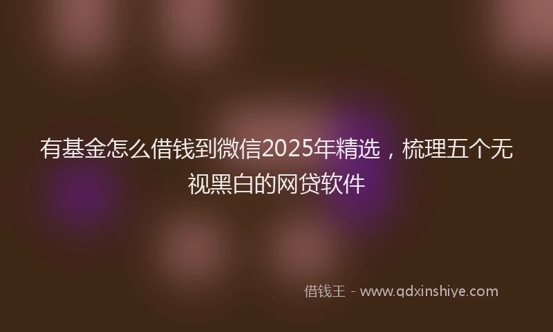 有基金怎么借钱到微信2025年精选，梳理五个无视黑白的网贷软件