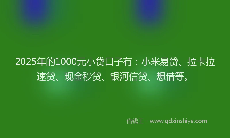 2025年的1000元小贷口子有：小米易贷、拉卡拉速贷、现金秒贷、银河信贷、想借等。