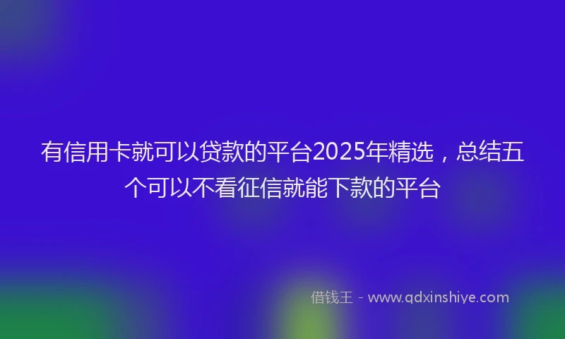 有信用卡就可以贷款的平台2025年精选，总结五个可以不看征信就能下款的平台