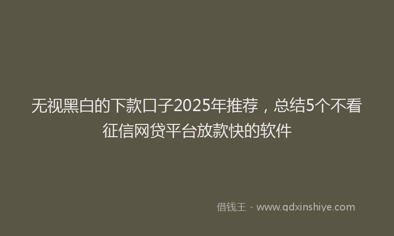 无视黑白的下款口子2025年推荐，总结5个不看征信网贷平台放款快的软件
