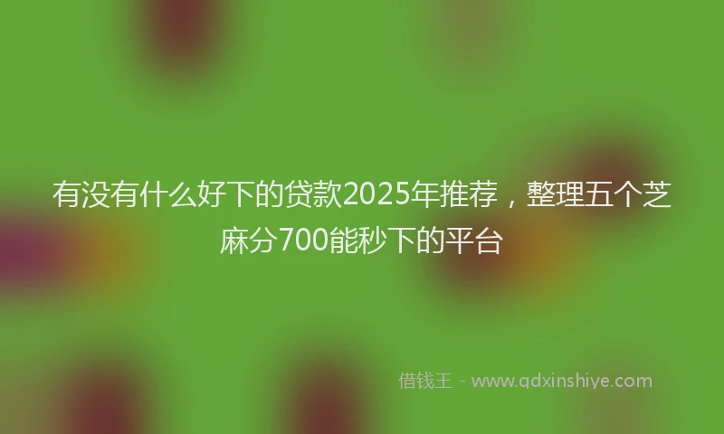 有没有什么好下的贷款2025年推荐，整理五个芝麻分700能秒下的平台