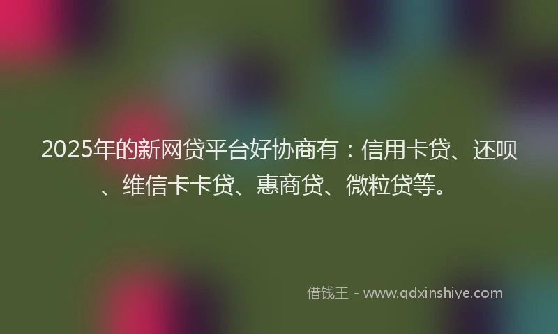 2025年的新网贷平台好协商有：信用卡贷、还呗、维信卡卡贷、惠商贷、微粒贷等。