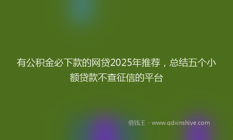 有公积金必下款的网贷2025年推荐，总结五个小额贷款不查征信的平台