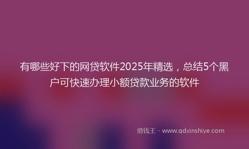 有哪些好下的网贷软件2025年精选，总结5个黑户可快速办理小额贷款业务的软件