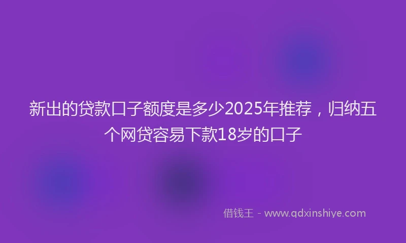 新出的贷款口子额度是多少2025年推荐，归纳五个网贷容易下款18岁的口子