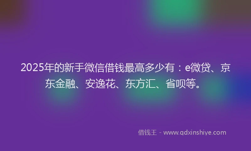 2025年的新手微信借钱最高多少有：e微贷、京东金融、安逸花、东方汇、省呗等。