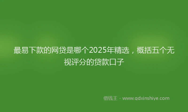 最易下款的网贷是哪个2025年精选，概括五个无视评分的贷款口子
