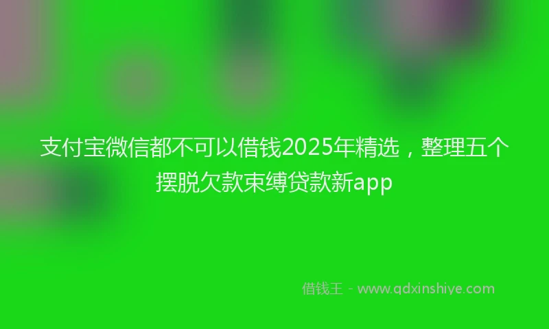 支付宝微信都不可以借钱2025年精选，整理五个摆脱欠款束缚贷款新app