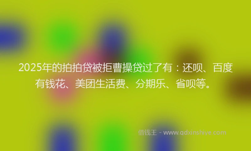 2025年的拍拍贷被拒曹操贷过了有：还呗、百度有钱花、美团生活费、分期乐、省呗等。