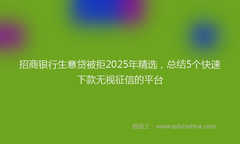 招商银行生意贷被拒2025年精选，总结5个快速下款无视征信的平台