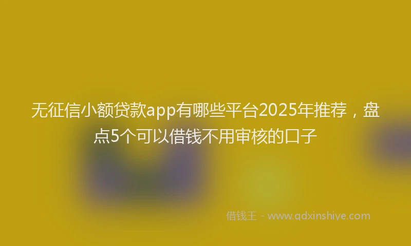 无征信小额贷款app有哪些平台2025年推荐，盘点5个可以借钱不用审核的口子