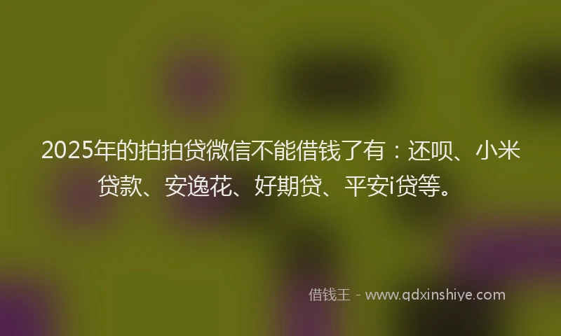 2025年的拍拍贷微信不能借钱了有：还呗、小米贷款、安逸花、好期贷、平安i贷等。