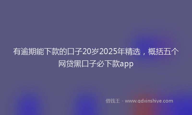 有逾期能下款的口子20岁2025年精选，概括五个网贷黑口子必下款app