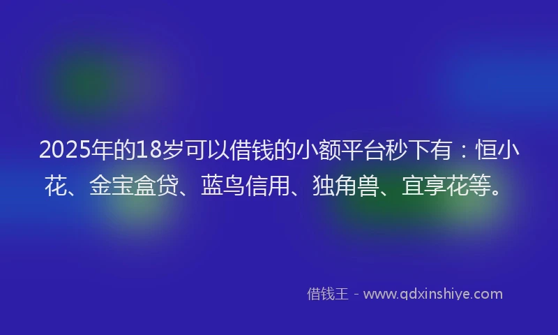 2025年的18岁可以借钱的小额平台秒下有：恒小花、金宝盒贷、蓝鸟信用、独角兽、宜享花等。