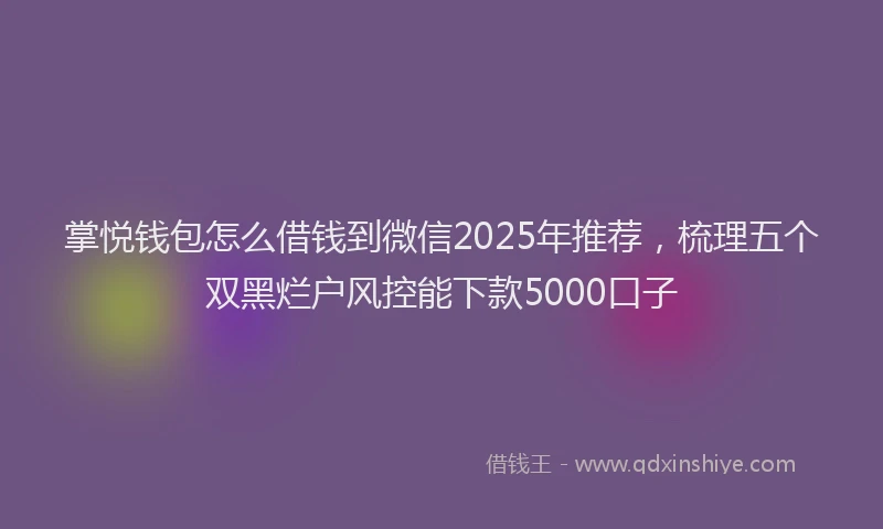 掌悦钱包怎么借钱到微信2025年推荐，梳理五个双黑烂户风控能下款5000口子