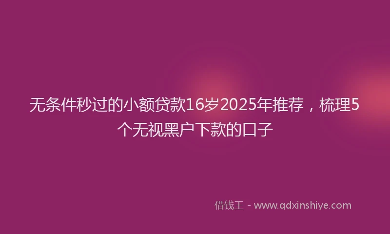 无条件秒过的小额贷款16岁2025年推荐，梳理5个无视黑户下款的口子