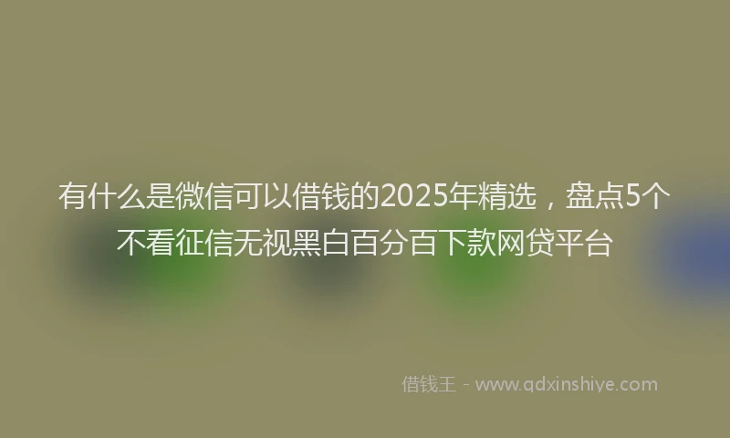 有什么是微信可以借钱的2025年精选，盘点5个不看征信无视黑白百分百下款网贷平台