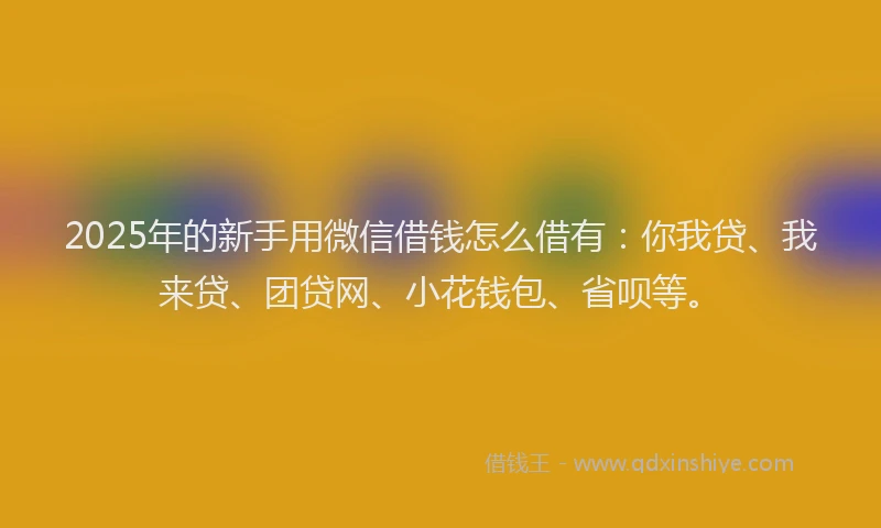 2025年的新手用微信借钱怎么借有：你我贷、我来贷、团贷网、小花钱包、省呗等。